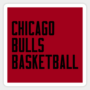 CHICAGO BULLS BASKETBALL - SEASON 23/24 Magnet